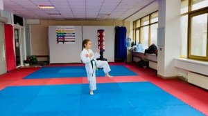 Техника ног: Статика тхэквондо