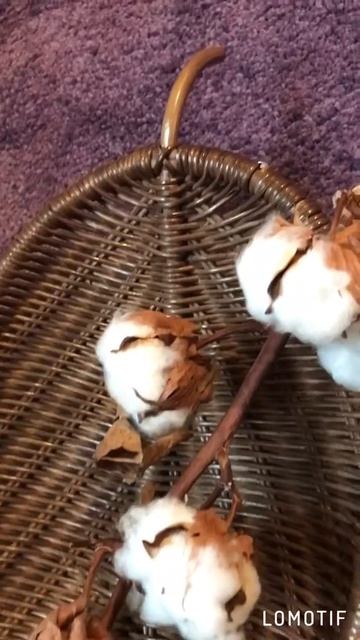 ЭКО- стиль : плетёные подносы для вашего дома смотреть онлайн