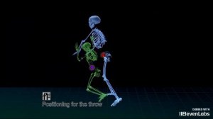 Основы Биомеханики дзюдо.