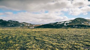 Ты не поймешь, как жил без этого видео раньше! - Animals Hide -- Krestovsky -- Song of the Month Clu