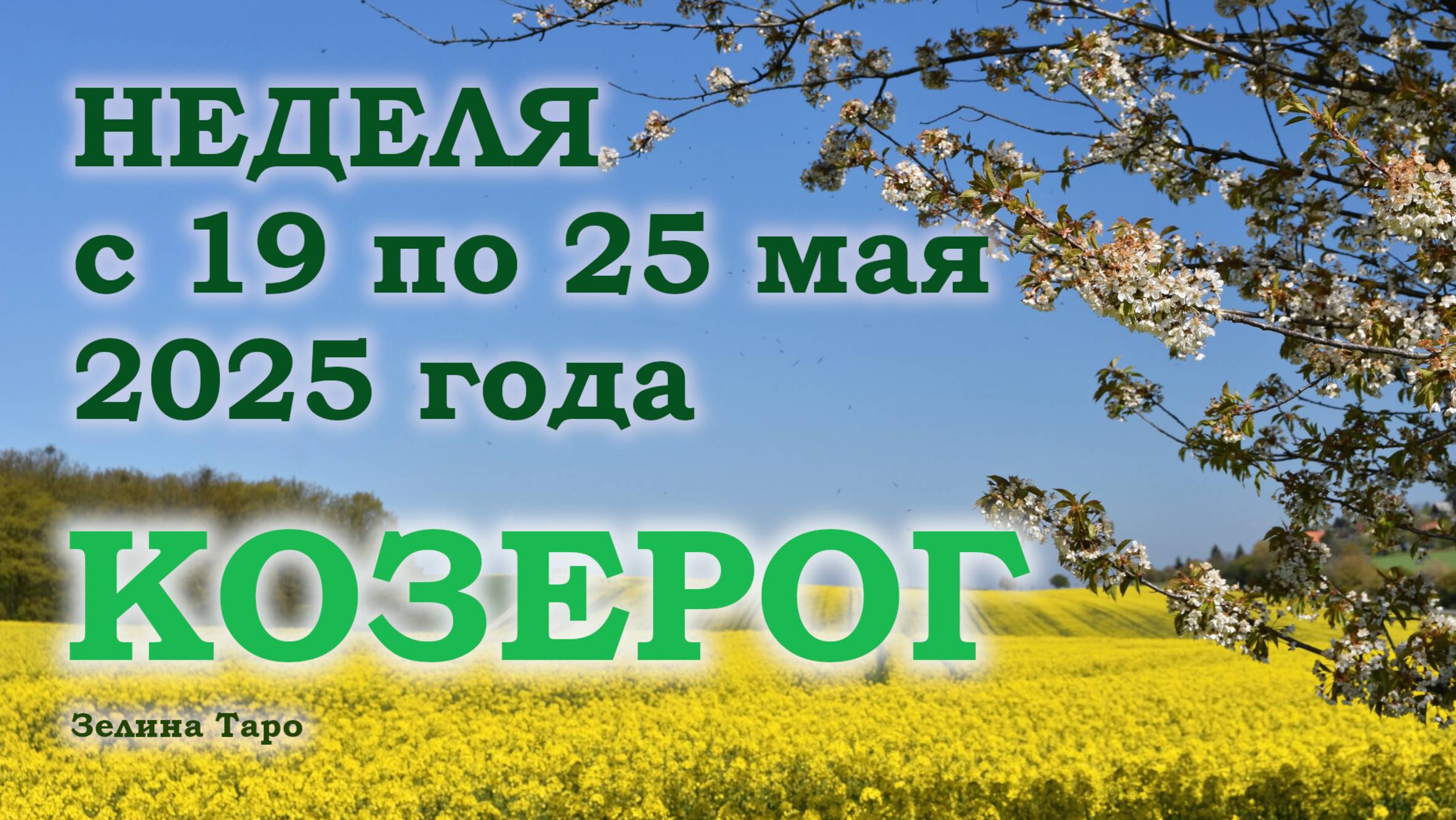 КОЗЕРОГ | ТАРО прогноз на неделю с 19 по 25 мая 2025 года