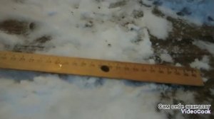 Test AKA Smart Pulse на чешую различного периода и размеров!