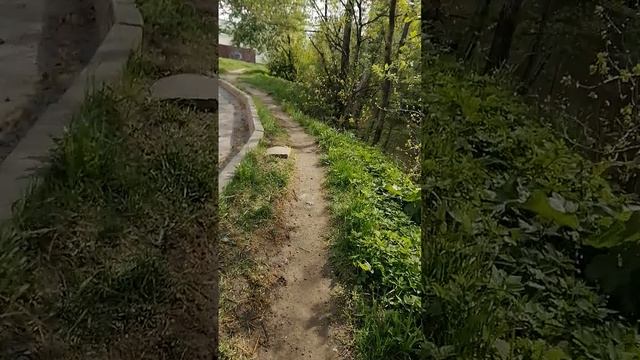 Природа Невского района в мае, красота неземная