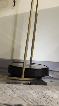 Вот поэтому я называю себя наставником. Я могу привести к результату даже пылесос
