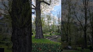 Карякинский сад в городе Рыбинск Ярославская область Россия