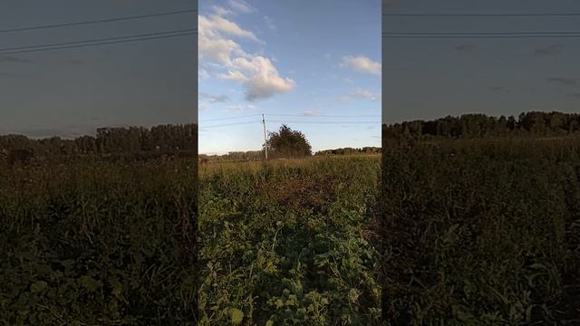 самодельный мульчер, (батварезка) смотреть онлайн