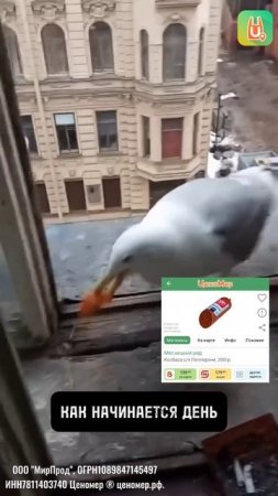 Насыщенная жизнь