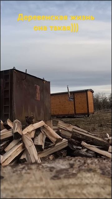 Колка дров! #деревня #зима #дровосек #дрова #дровокол смотреть онлайн
