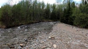 Устье реки Крестовка!