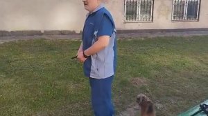 техника куботан-перемещения с ударами