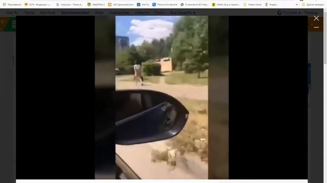 Красиво жить не запретишь...