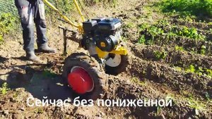 Два Мотокультиватора STEHER GT-430 и GT-300 разница в работе.