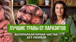 Как избавиться от паразитов за несколько недель народными методами