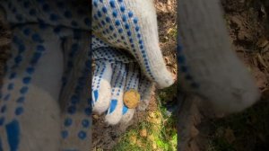 Коп с Эквинокс 900 и Нокта Макро Легенд