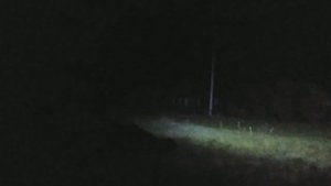 Соловьи соловьи...