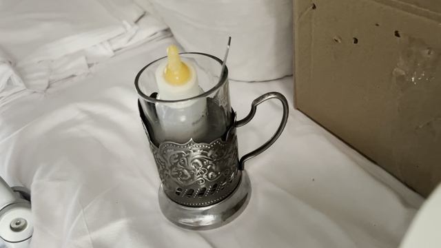 Перевозка животных в ЦЕНТР ПОМОЩИ