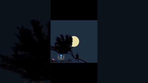 борон бзан ёдш кадам 😿