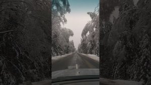 Радость жизни