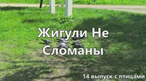 1-14 Немножко про моновпрыск