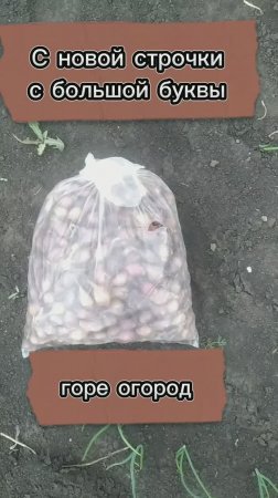 Горе огород