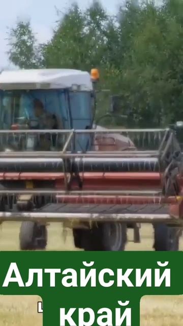 Косилка самоходная универсальная КСУ-1. Ростсельмаш. смотреть онлайн