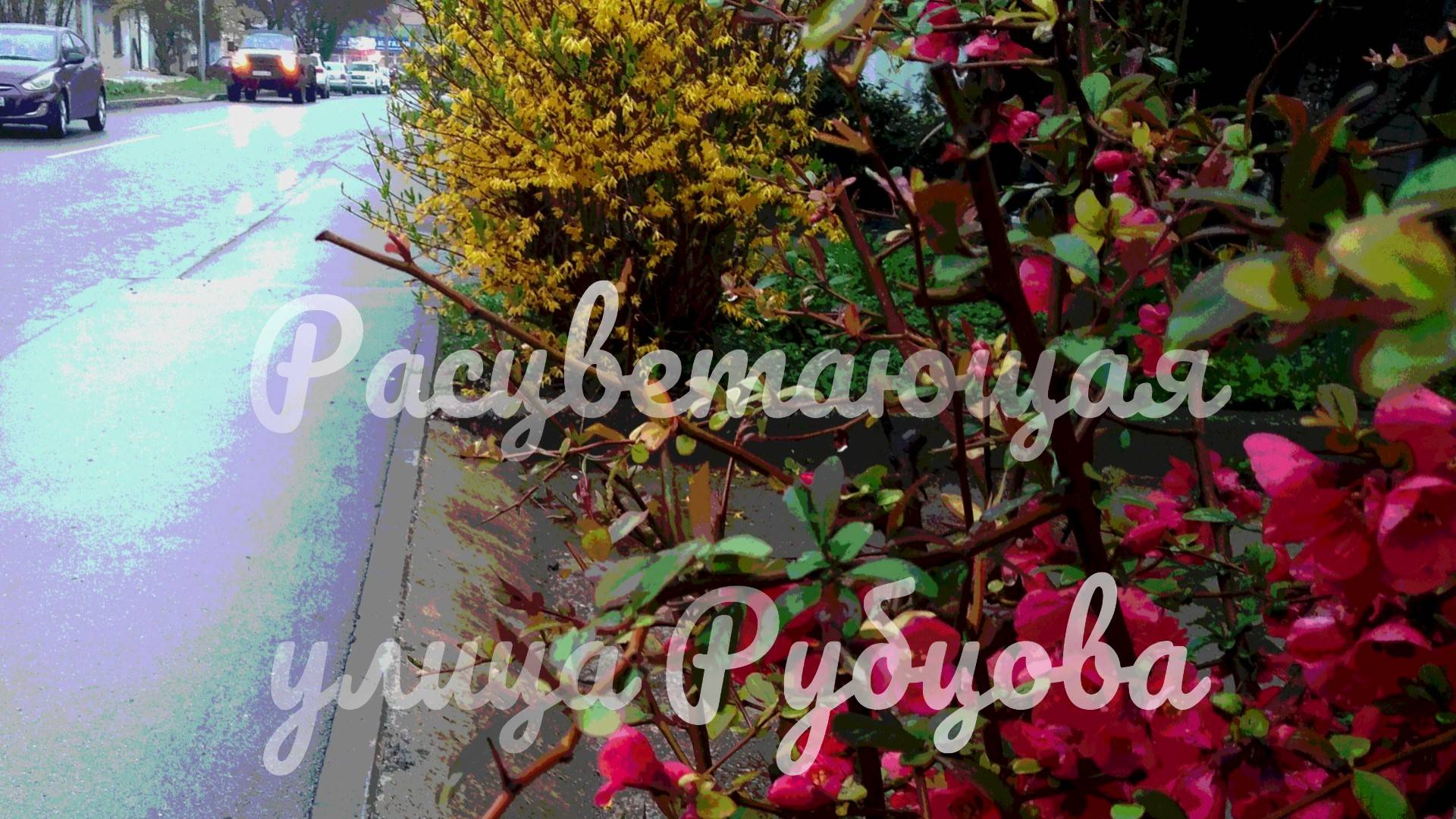 Расцветающая улица Рубцова