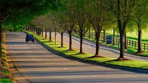 JOSSIE AIR - 2 PEINE  Prod Bigcvyu & Lewis Somes