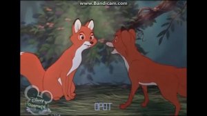 Лис и пес  любовь это чудо