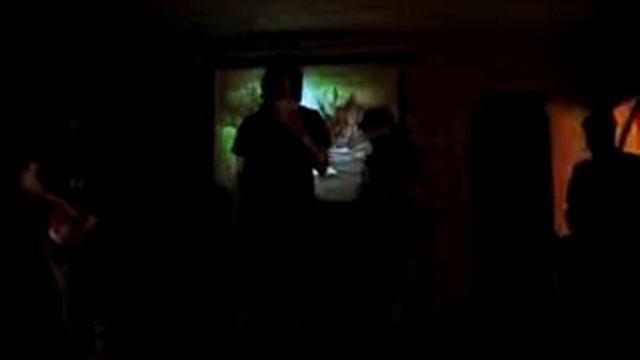 Stupid Pictures - Тупые картинки смотреть онлайн