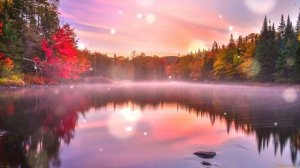 Музыка для Отдыха