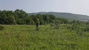 Вид на ЖК Кипарис в Сукко с горы. Май 2025