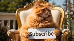 A mother cat makes a beautiful firefly lamp for her kittens at home #cat #cute 🐾 #cat #kitten