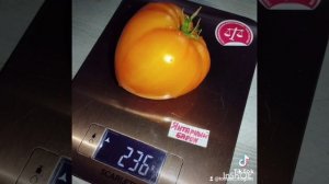 Обзор на перец Тимия и томаты Боннер бесте , Янтарный б