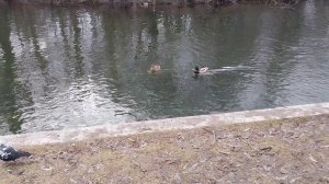 В парке Горького
