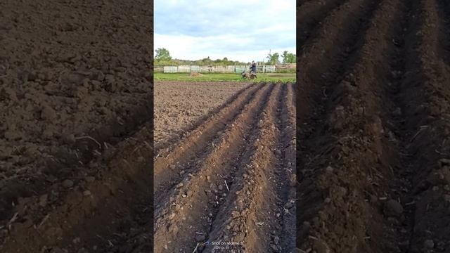 Парма 2х2 + окучник смотреть онлайн