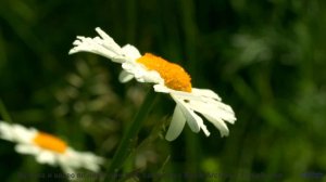 Этот трек - как объятие после долгого дня! - Ловцюс навсегда -- POVALISHIN DIVISION -- Запрещать Зап