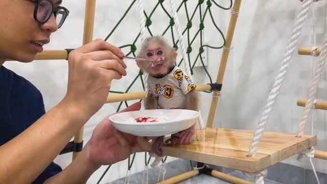 Обезьянка крошка БУКАШКА готовит джем Ест с творогом на качелях вкусняшку Милота