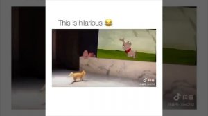 Прям как в мультике 😂