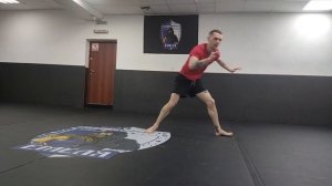 B-twist mini guide / Би твист мири гайд  #btwist #acrobatics #capoeira #tricking #tr