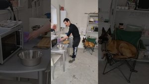 #Как и чем правильно кормить Малинуа
