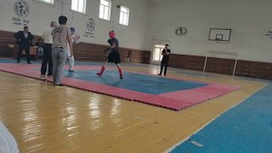 Каратэ против Кикбоксинг