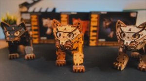 Механические котята из дерева от EWA, сборные модели. Конструктор деревянный