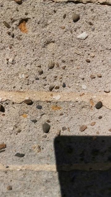 Пескобетонные кирпичи 18-го века? смотреть онлайн