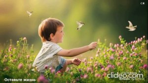 Оставьте жизнь