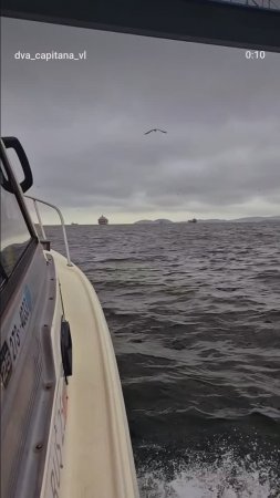 Морское такси во Владивостоке