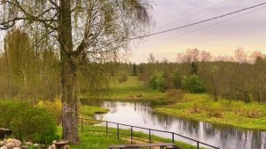 Пение соловья весной Природа и речка на даче