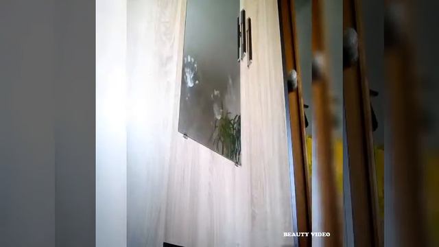 Обзор заказа Аvon 14 2018 . Комнатные тапки 👍 смотреть онлайн