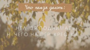 9 сентября 2024,Анфисин день,Рябинник,народный календар?