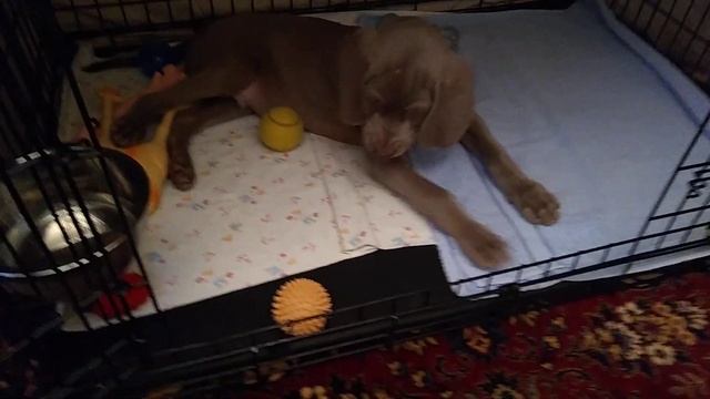 Малыш с мячом смотреть онлайн