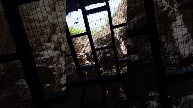 🌿Провал на горе Машук 🌿. Пятигорск 🌿. Мама, Наташа и я. 🌺 8.07.24 смотреть онлайн